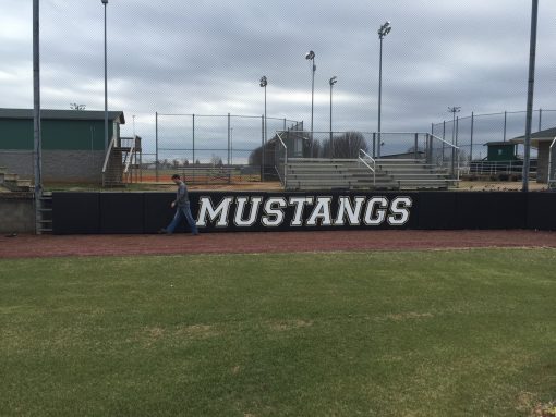 Backstop Padding